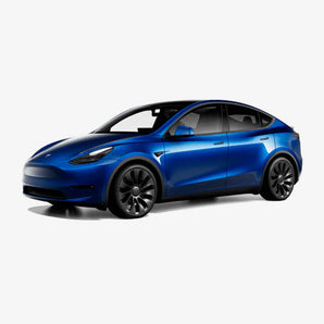 Model Y 2020–2024